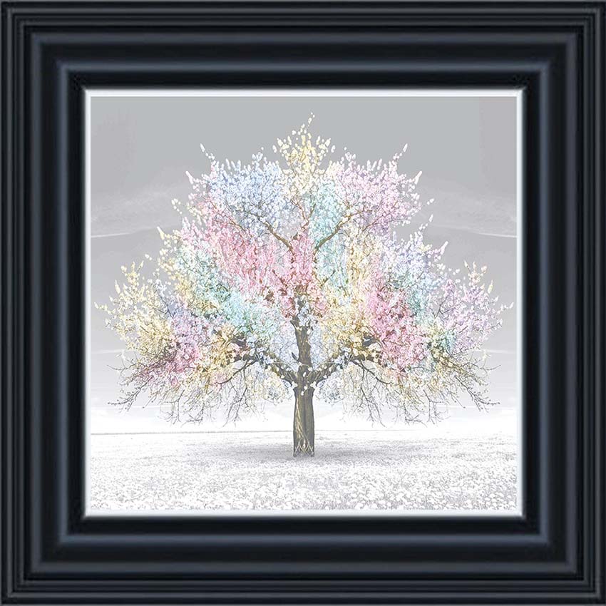 Cherry Blossom (Multi)