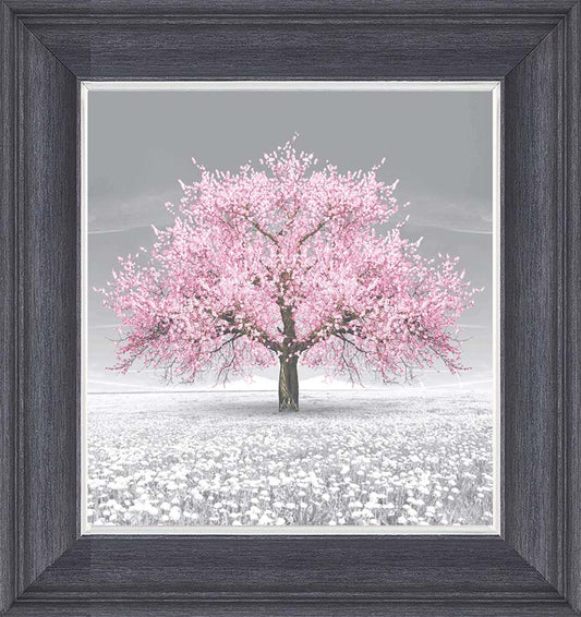 Cherry Blossom (Pink)