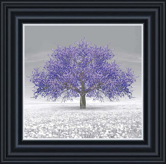 Cherry Blossom (Purple)