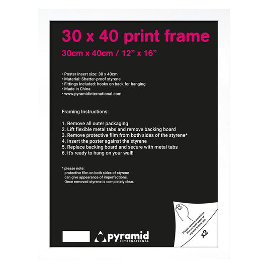 Print Frame (White)