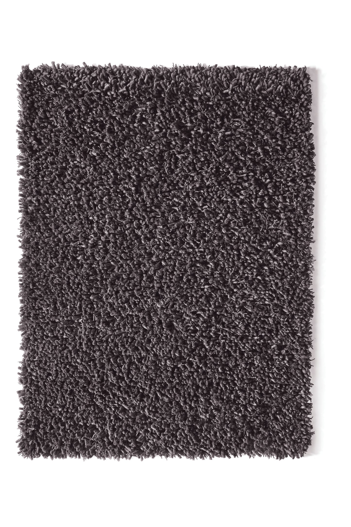Rug Guru Maine Fossil