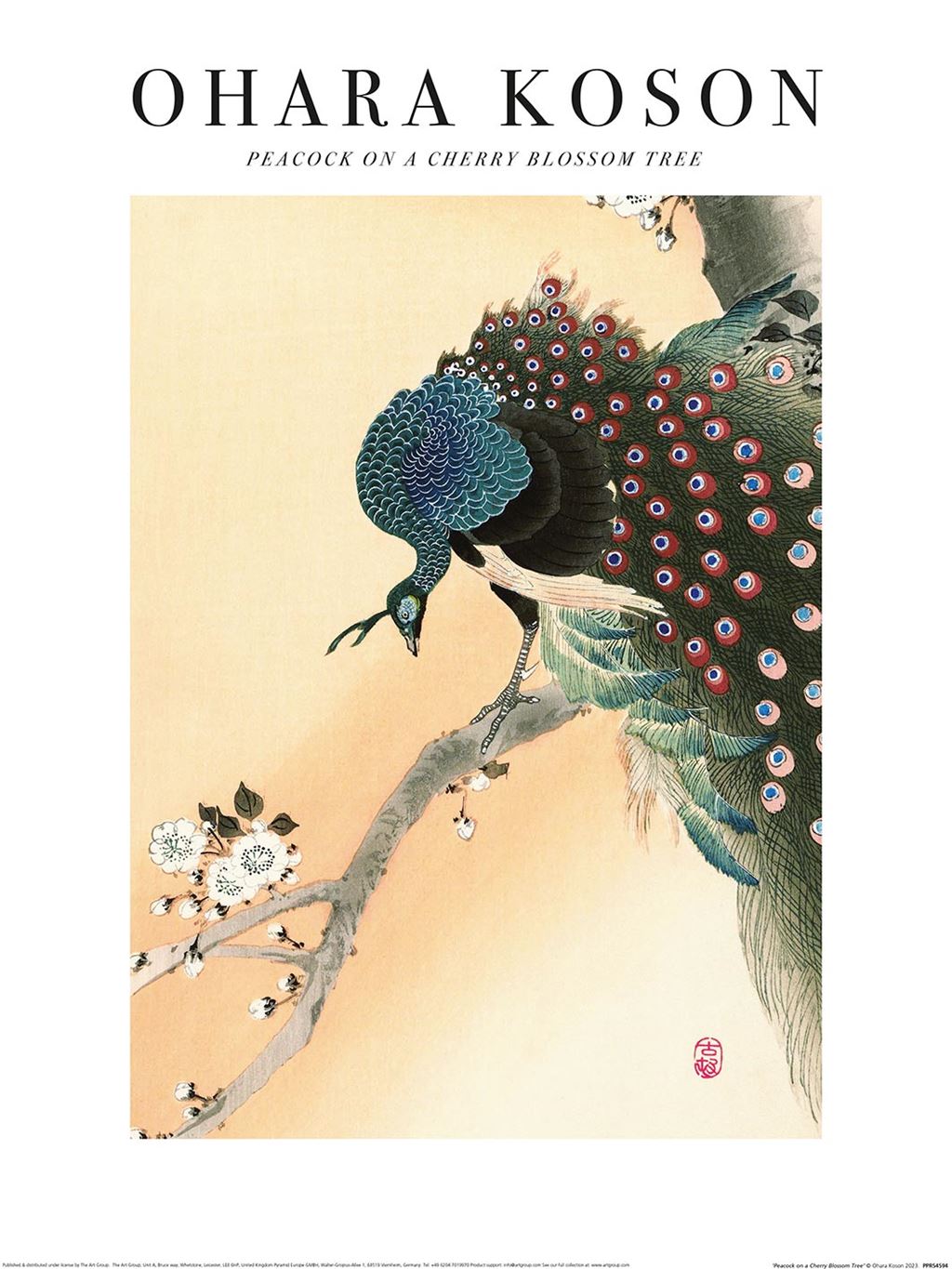 Peacock on a Tree Branch (Print)