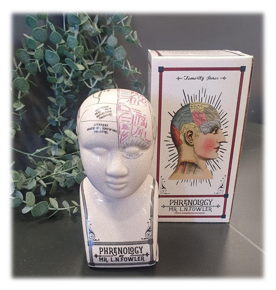 Phrenology Head
