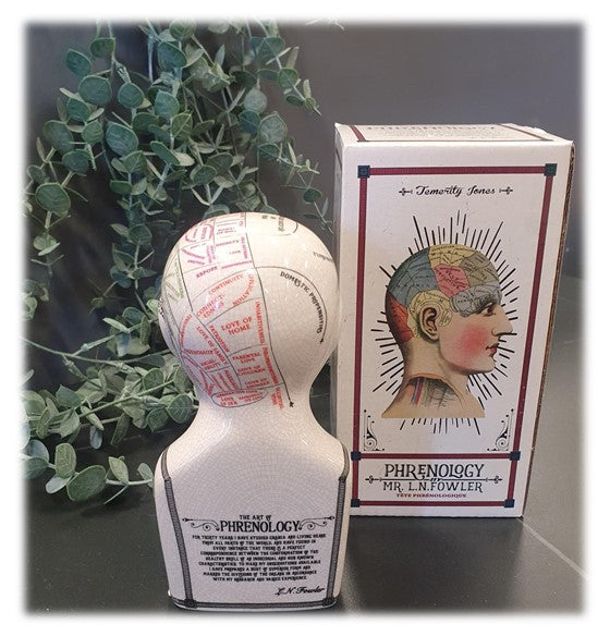 Phrenology Head