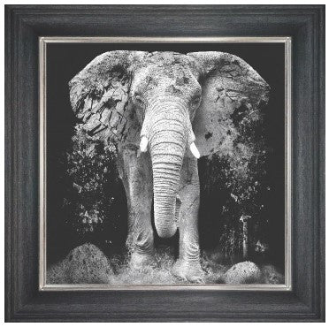 Ancient Elephant
