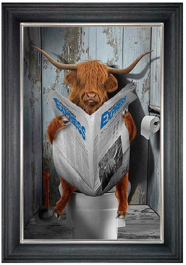 Toilet Highland Cow (male)