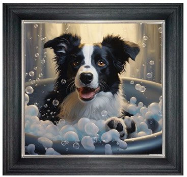 Bubble Bath Border Collie (Black & White)