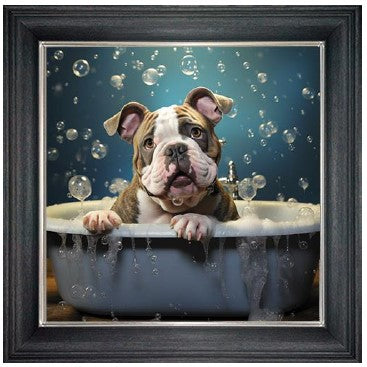 Bubble Bath Bulldog (Grey)