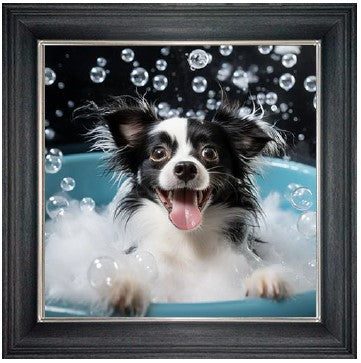 Bubble Bath Chihuahua Long (Black & White)