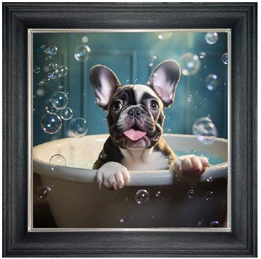 Bubble Bath French Bulldog (Black & White)