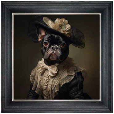 Dressed up French Bulldog (Female)