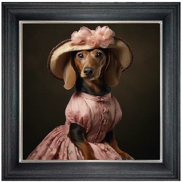 Elegant Sausage Dog