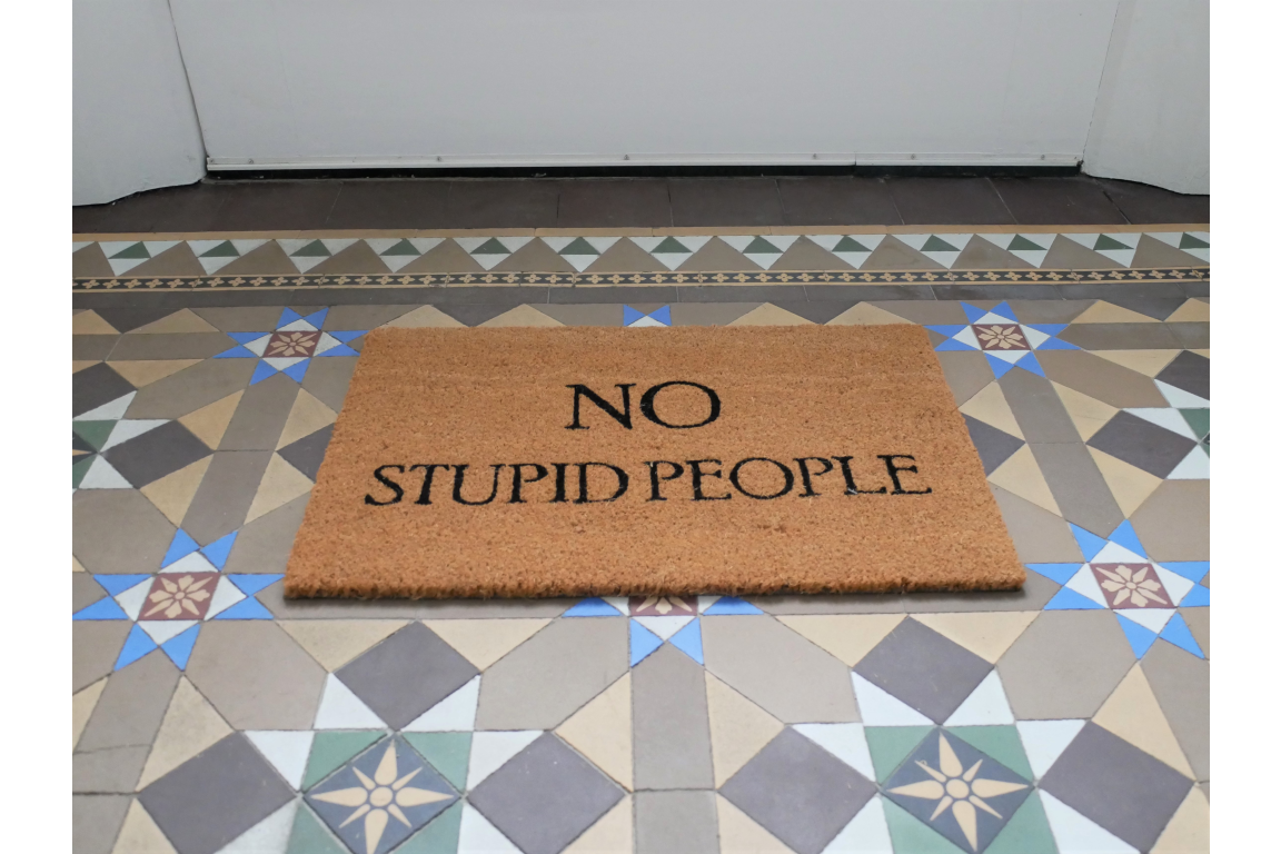 No Stupid People