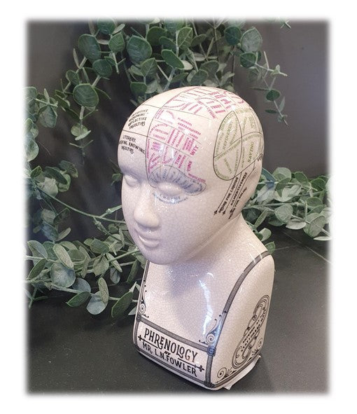 Phrenology Head