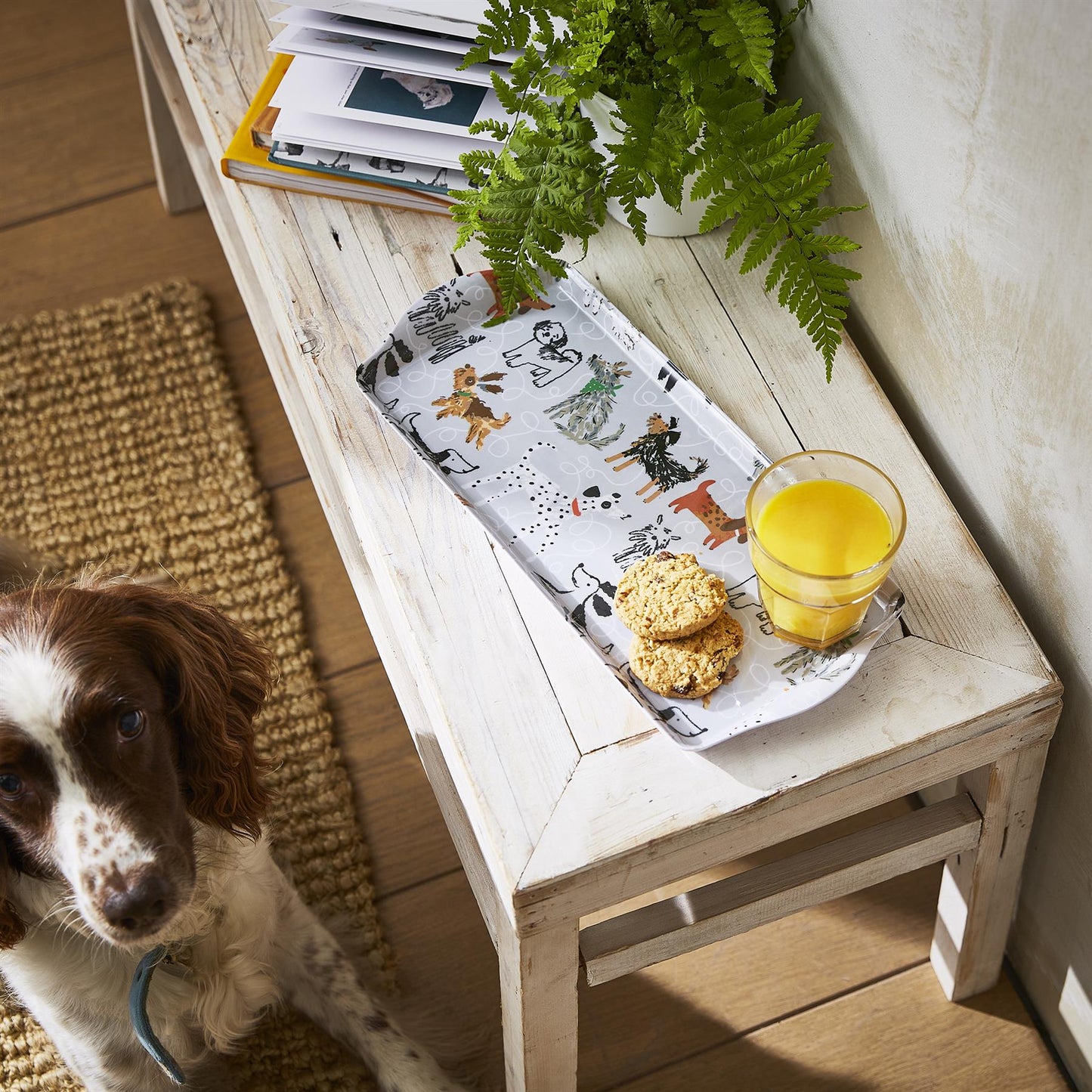 Dog Days Scatter Tray