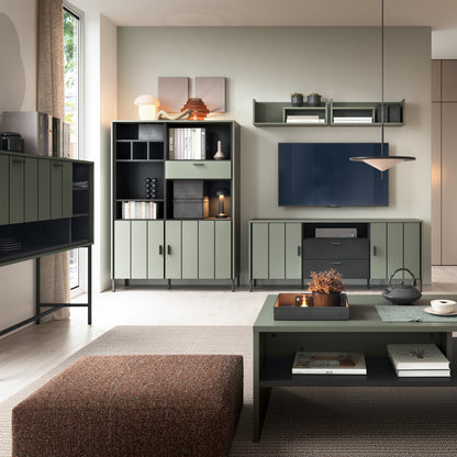 Arundel TV Cabinet 2 Door 2 Drawer Wide in Green/Grey