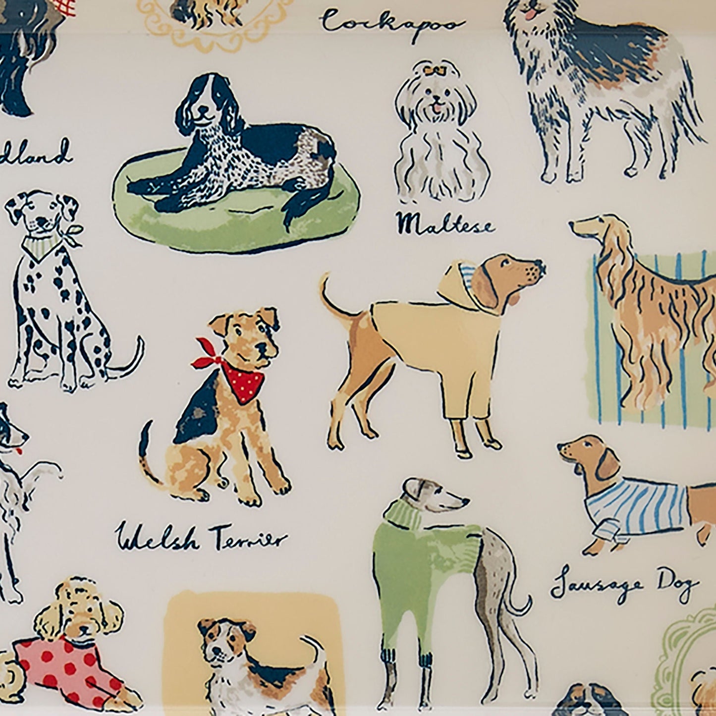 Best In Show Scatter Tray