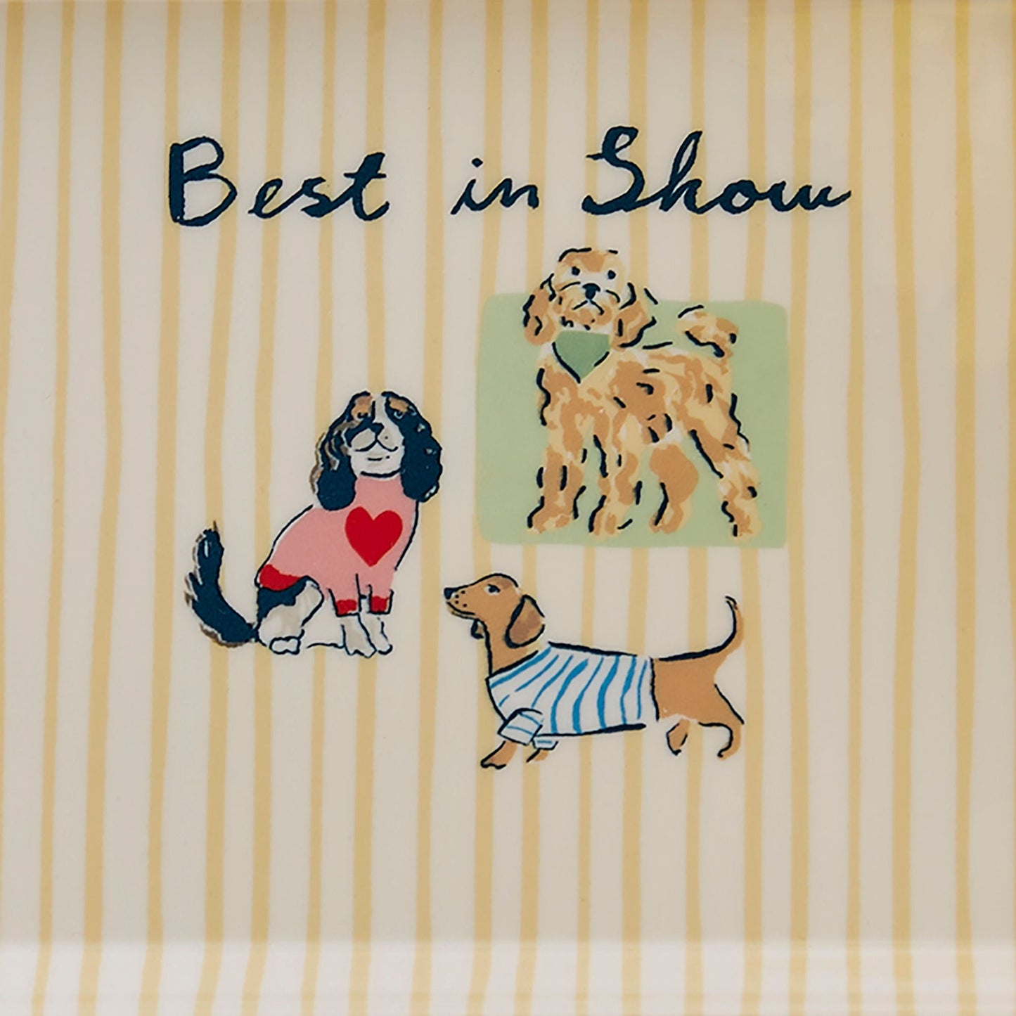 Best In Show Scatter Tray