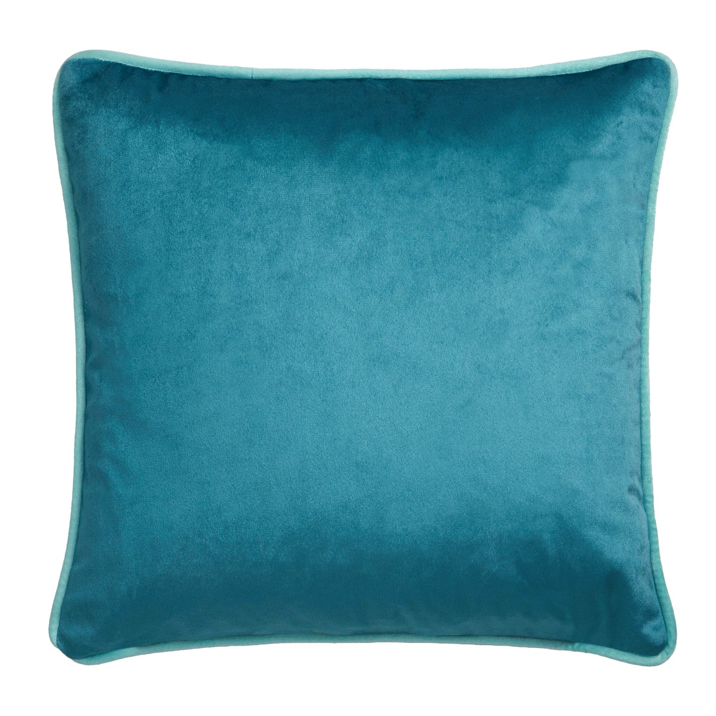 Birdity Absurdity Cushion in Blue