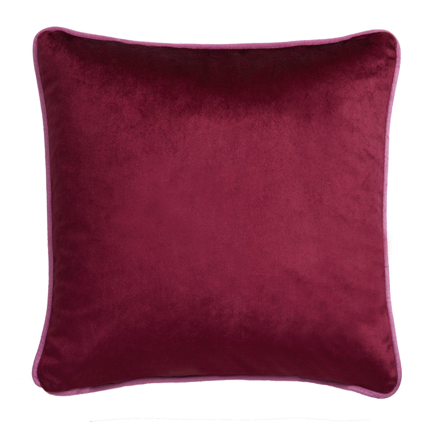 Birdity Absurdity Cushion in Pink
