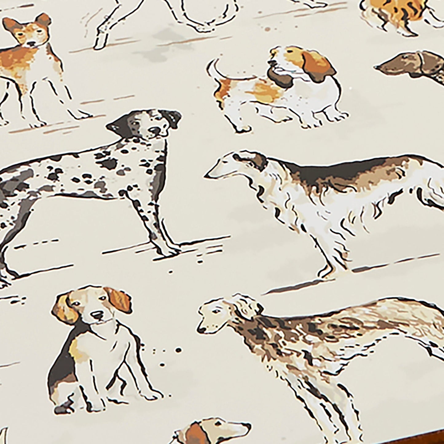 Country Dogs Placemat 4 Pack