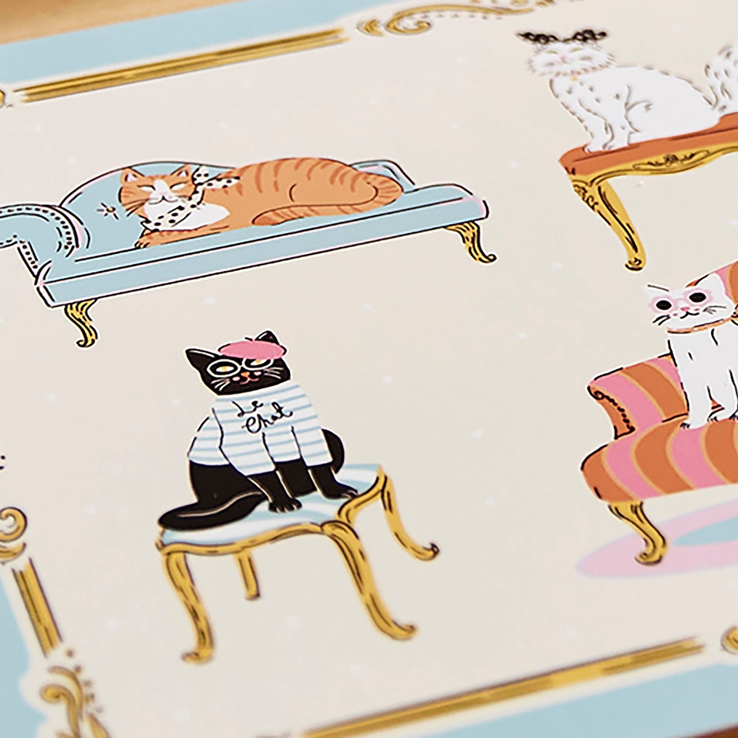 Cool Cats Placemat 4 Pack