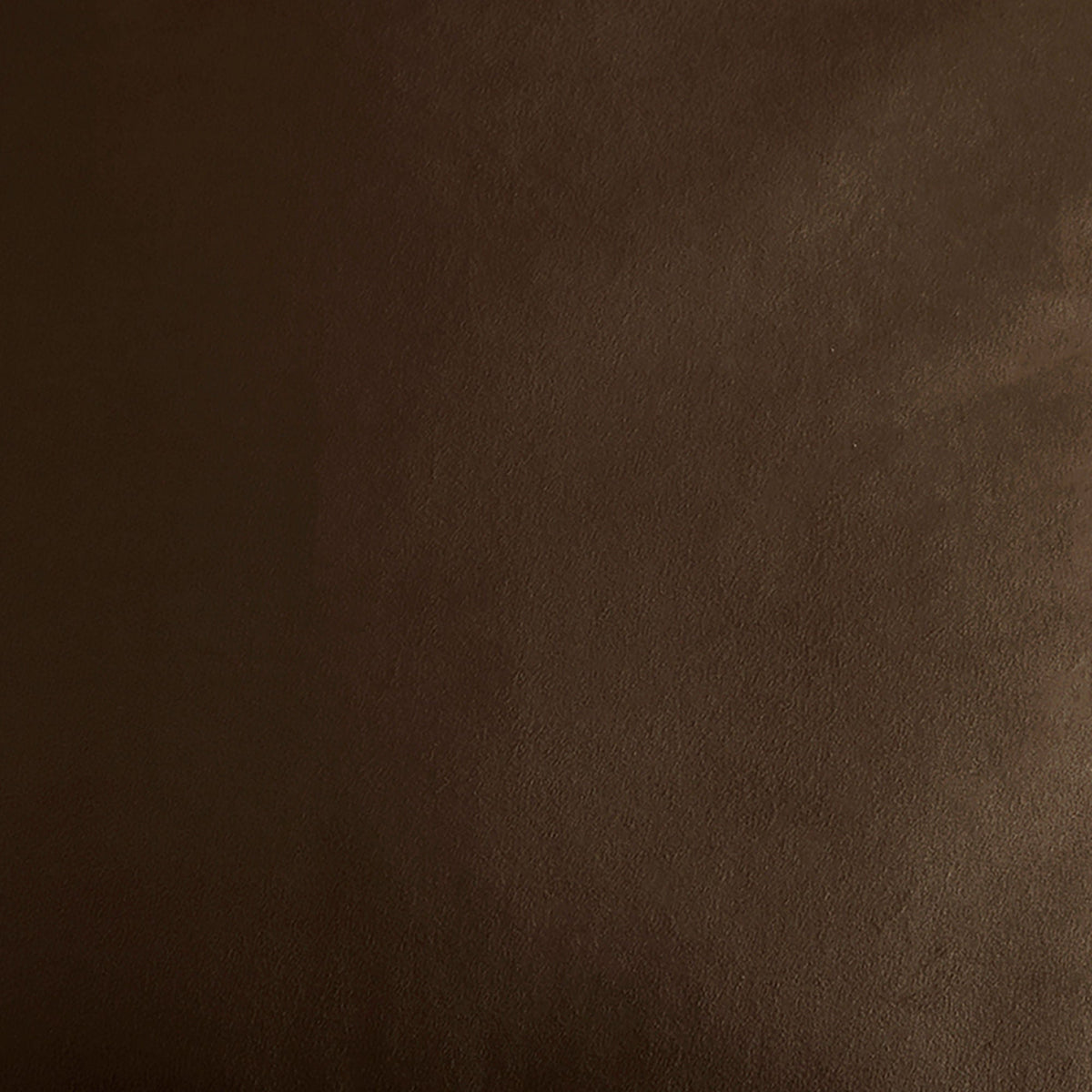 Harlan Velvet Cushion in Chocolate 55 x 55cm