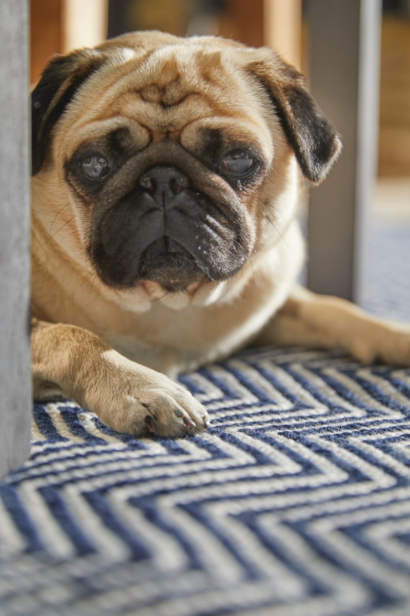 Hug Rug Woven Herringbone Rug Navy