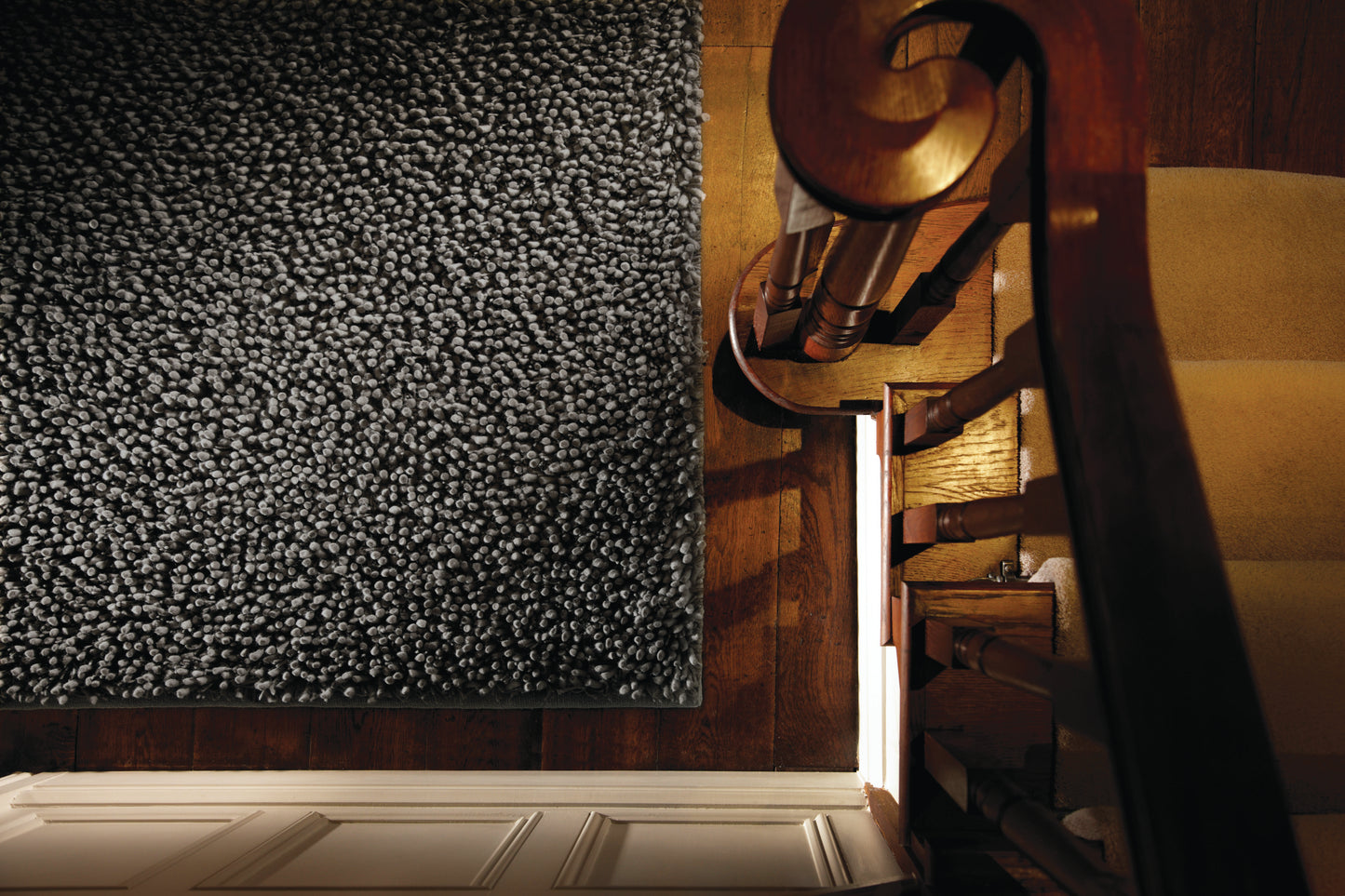 Rug Guru Maine Fossil