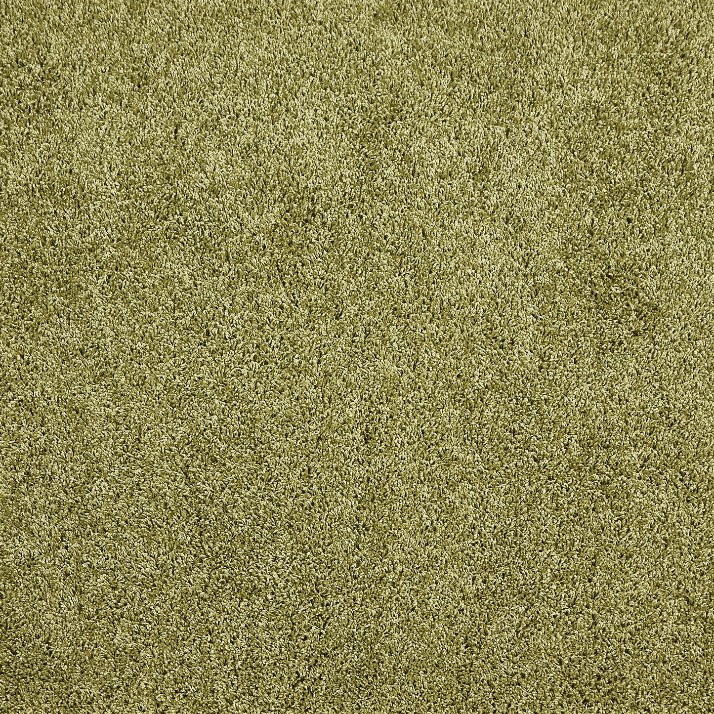 My Rug Olive