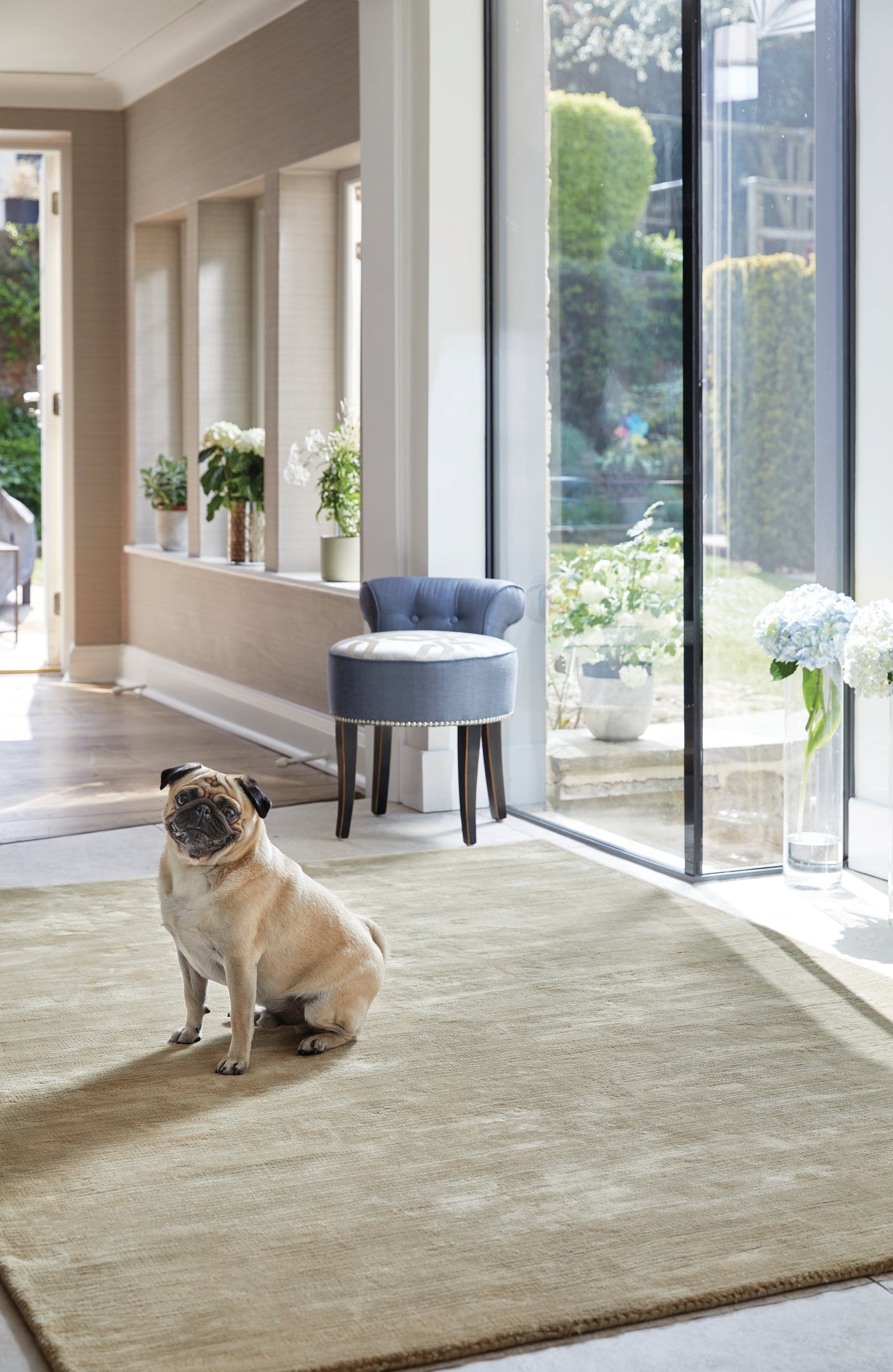 Rug Guru Orient Orient Oyster