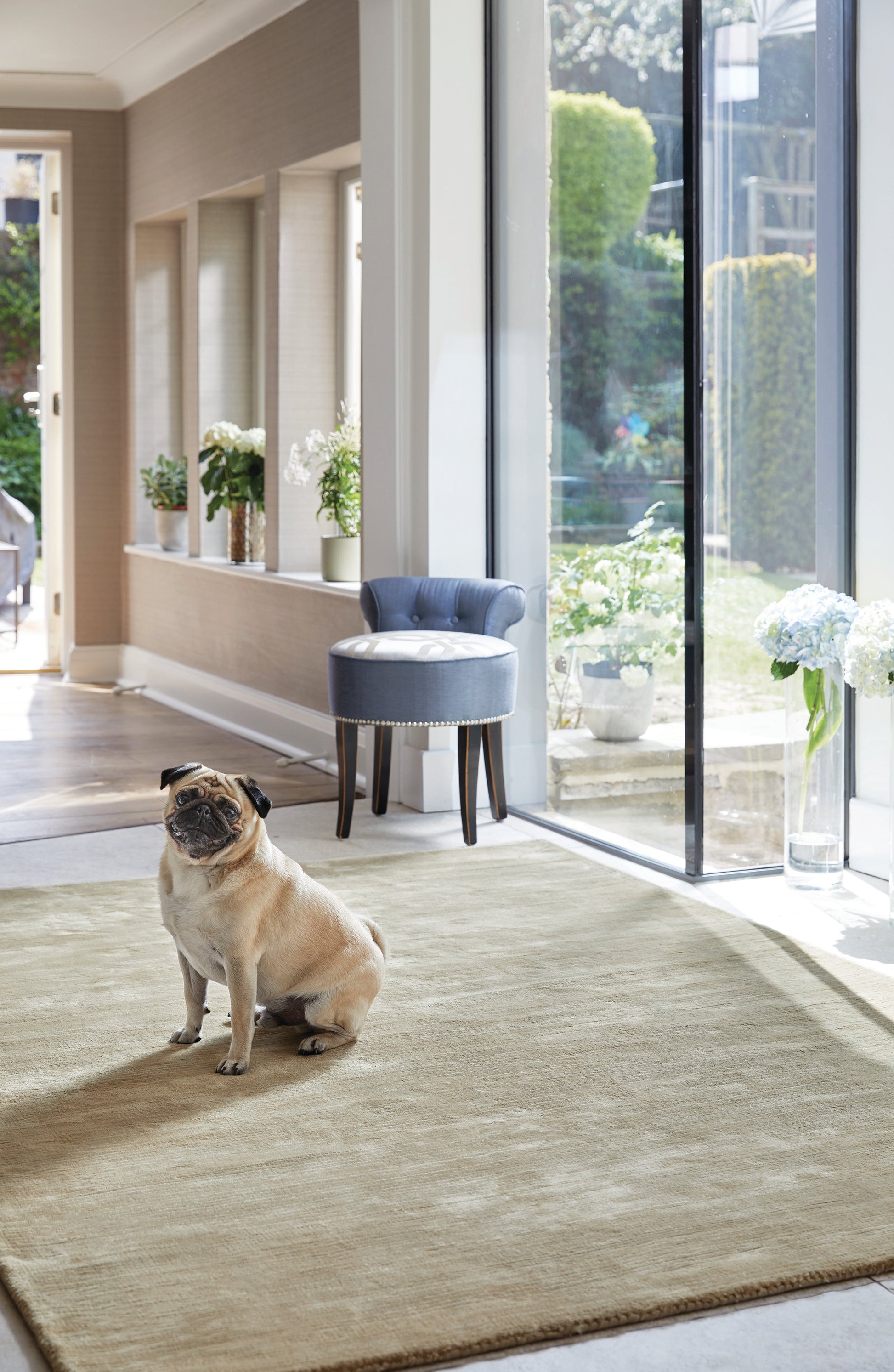 Rug Guru Orient Orient Oyster