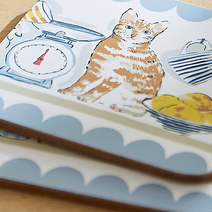 Pantry Cats Coasters 4 Pack