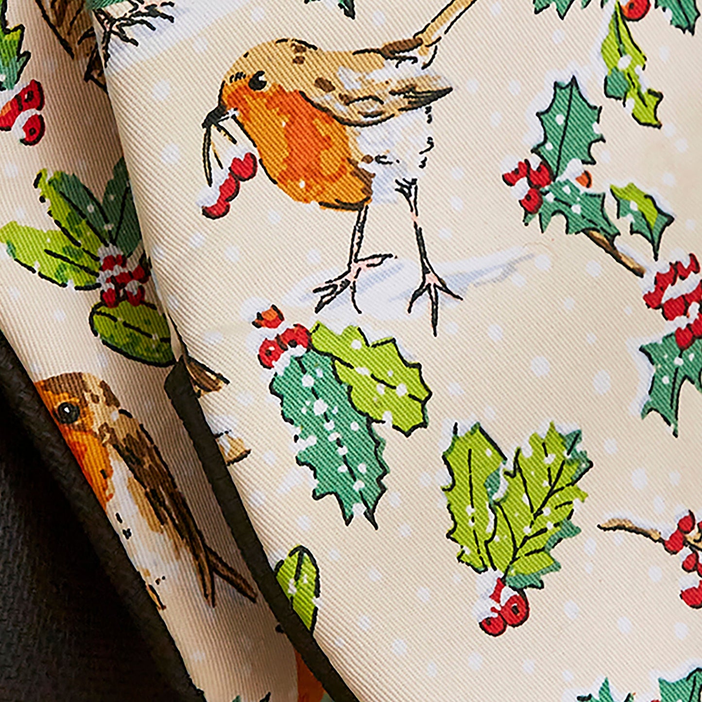 Christmas Robins Microwave Mitts Pair