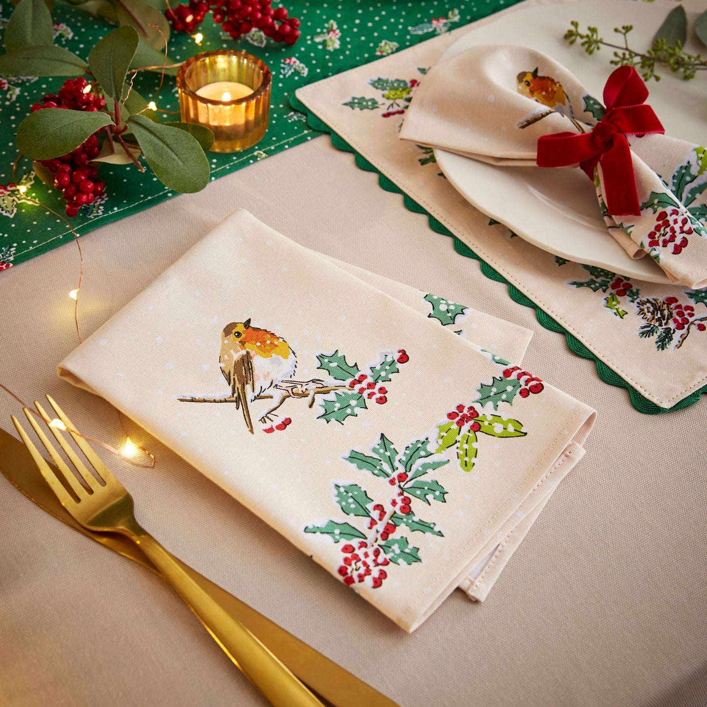 Christmas Robins Napkins 2 Pack