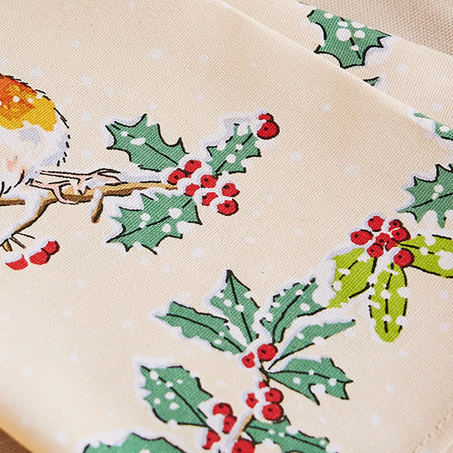 Christmas Robins Napkins 2 Pack