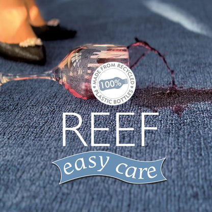 Origins Reef Navy
