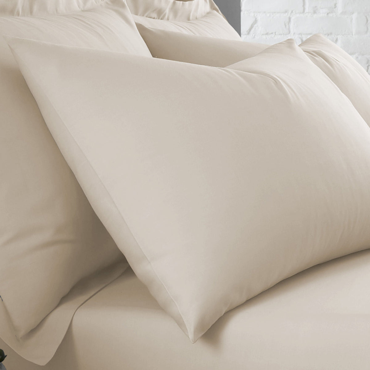 Plain Dye Pair of Housewife Pillowcases in Natural