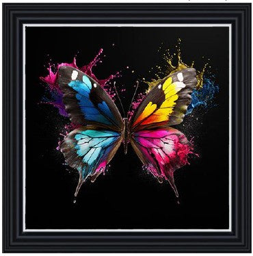 Butterfly Colour Splash