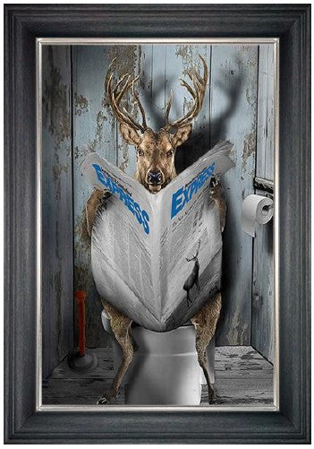 Toilet Stag