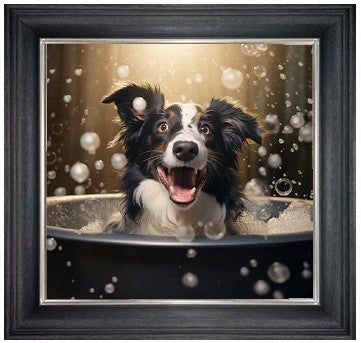 Bubble Bath Border Collie (Tan & White)