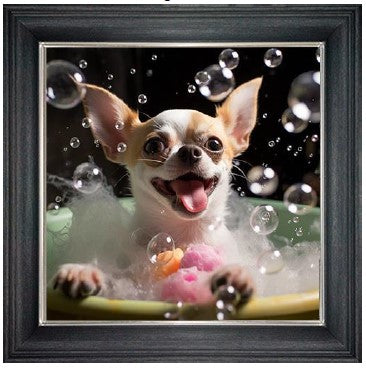 Bubble Bath Chihuahua Short (Tan & White)