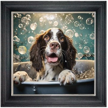 Bubble Bath Springer Spaniel