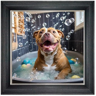 Bubble Bath XL Bully