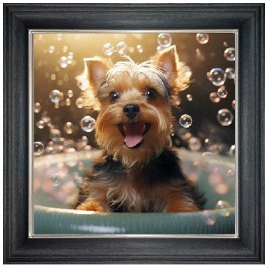 Bubble Bath Yorkshire Terrier