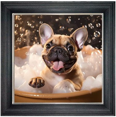 Bubble Bath Frenchy (Black & Tan)