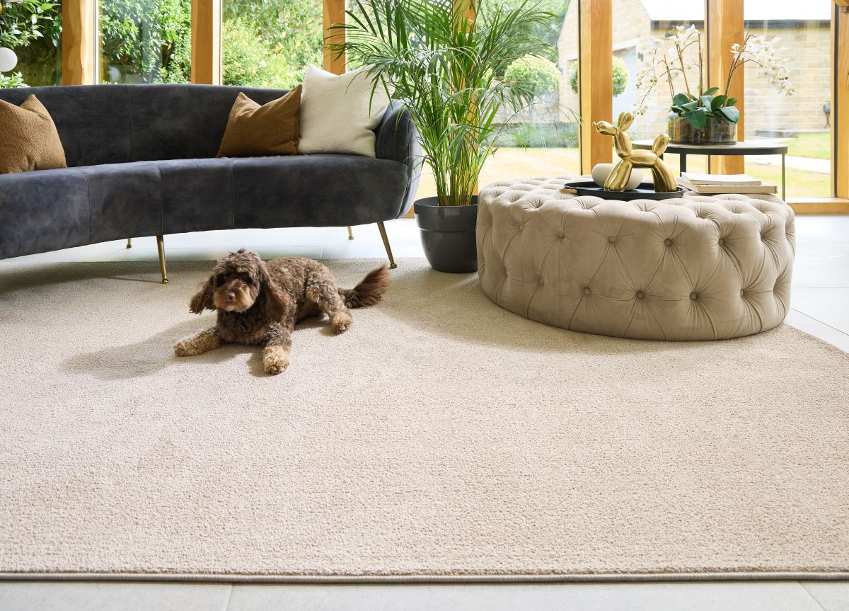 Hug Rug Sense Rugs Beige