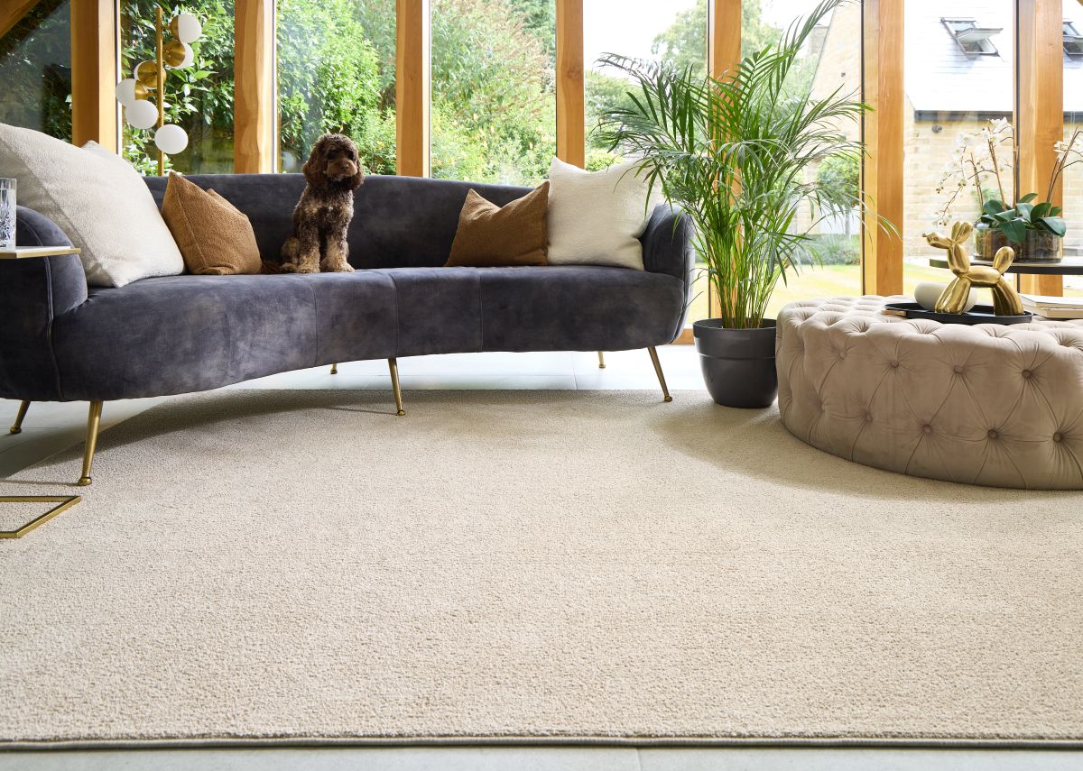 Hug Rug Sense Rugs Beige