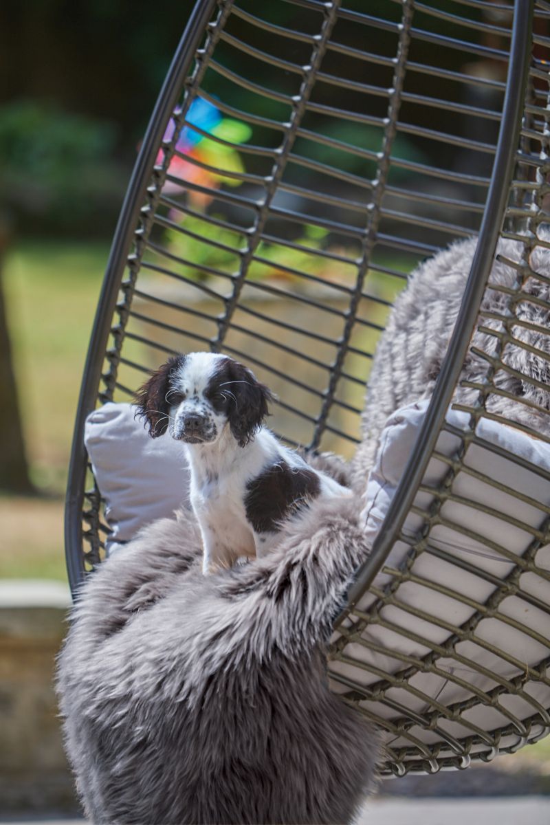 Origin Izmir Grey