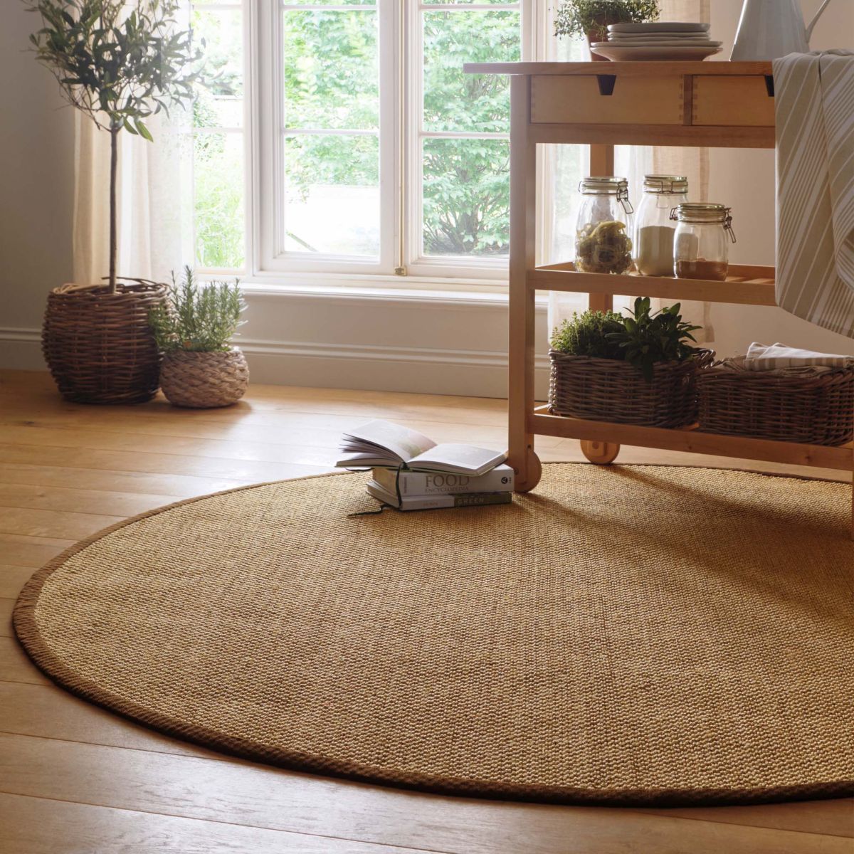 Origins Sisal Rug Warm Natural with Dark Brown Border